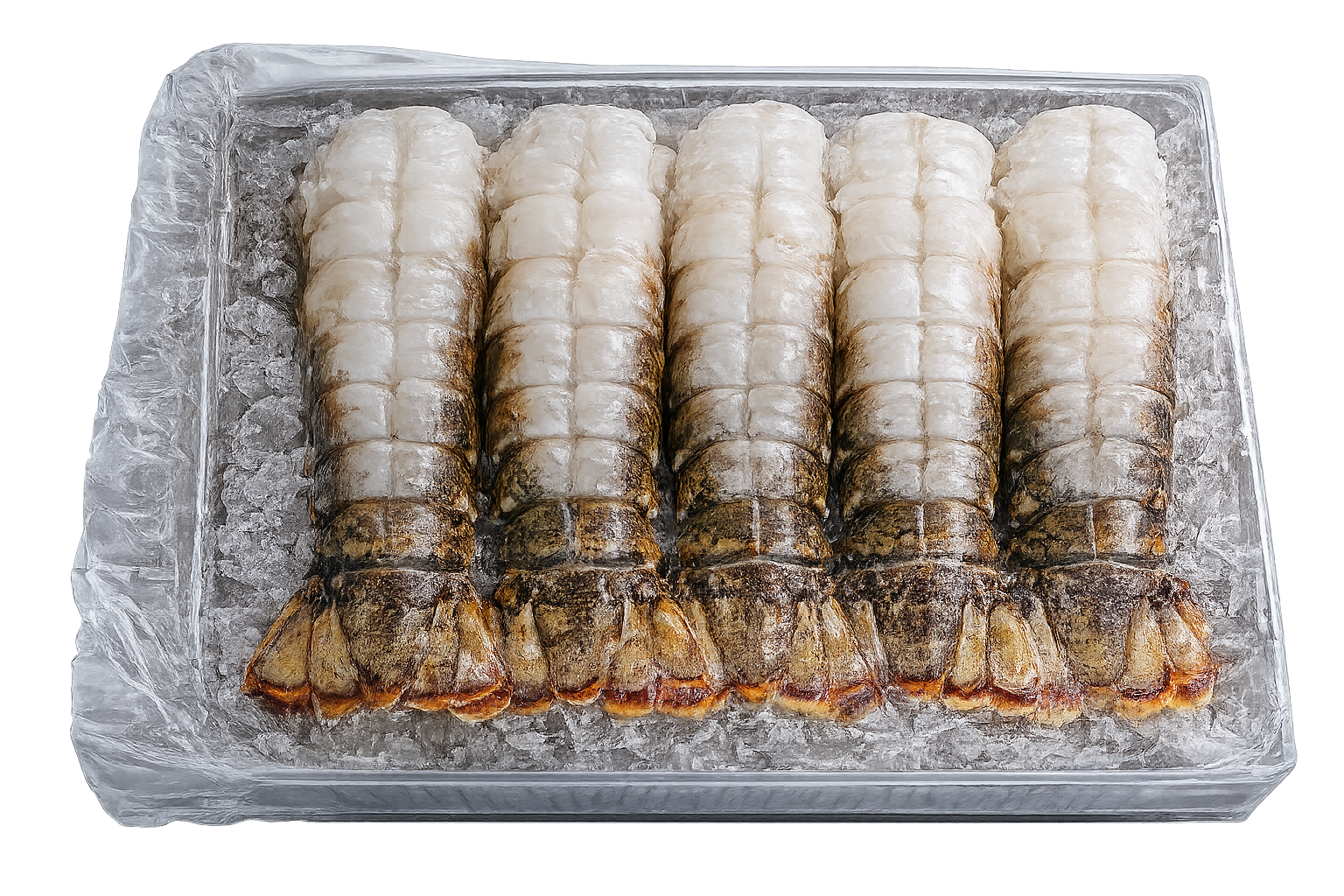 Queue de homard nettoyée
