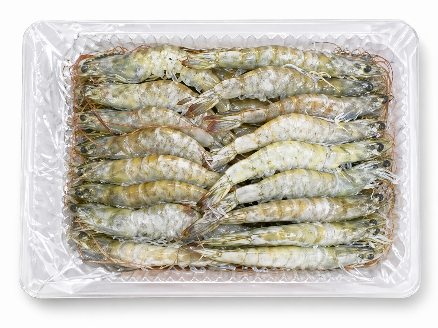 Crevettes d’élevage